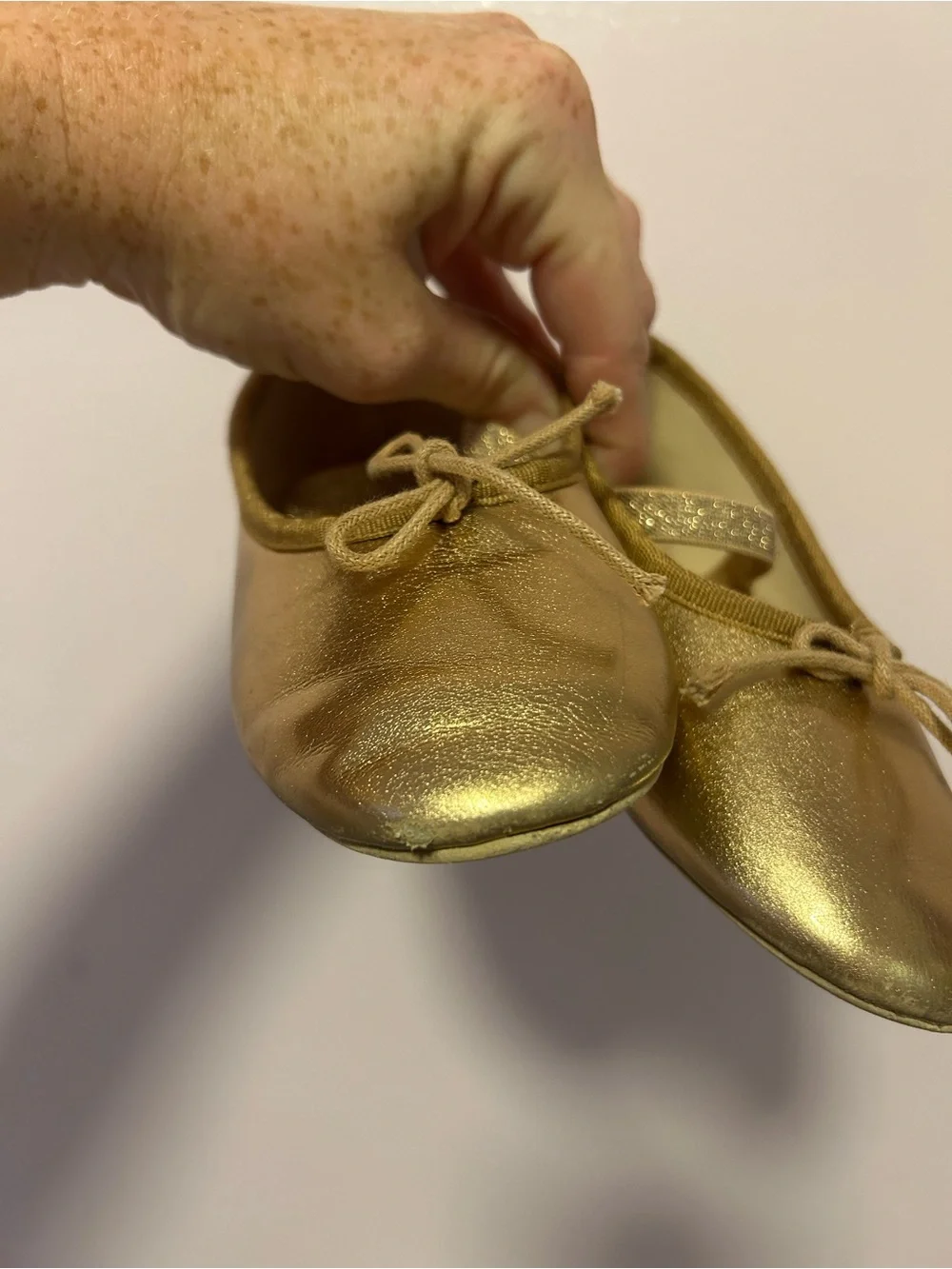 Noralee Rose Hold Ballet Flats Sz 11